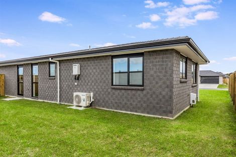 Photo of property in 109 Hinemoa Street, Levin, 5510