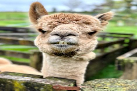 Photo of property in 10 Allan Road, Burgess Park, New Plymouth, 4371