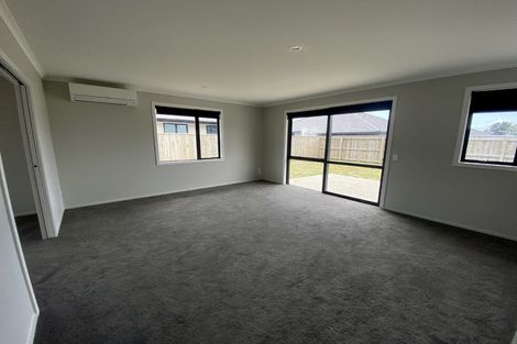 Photo of property in 17 Feltham Street, Richmond, 7020