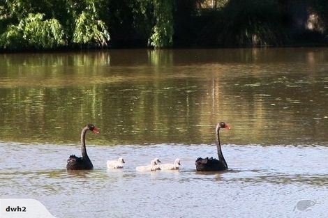 Photo of property in 135 Ballantyne Road, Poraiti, Napier, 4182