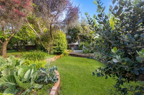 Photo of property in 28 Trewavas Street, Motueka, 7120