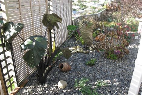 Photo of property in 87a Greerton Road, Gate Pa, Tauranga, 3112