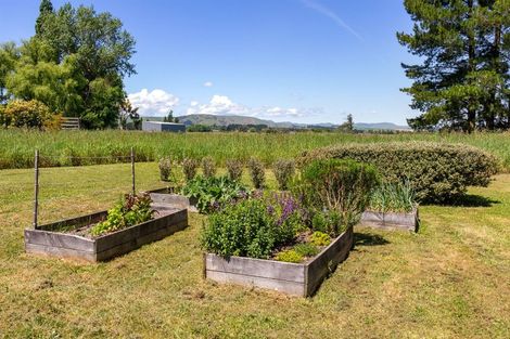 Photo of property in 388 Bidwills Cutting Road, Morison Bush, Greytown, 5794