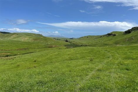 Photo of property in 429 Te Akau South Road, Te Akau, Ngaruawahia, 3793