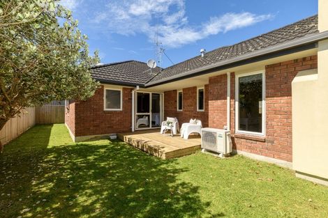 Photo of property in 3 Raukawa Drive, Bethlehem, Tauranga, 3110