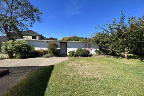 Photo of property in 91 Marne Street, Hokowhitu, Palmerston North, 4410