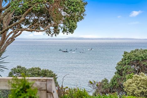 Photo of property in 38 Pacific Parade, Army Bay, Whangaparaoa, 0930