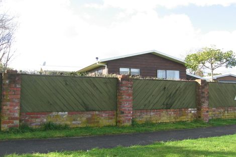 Photo of property in 27 Tingey Avenue, Feilding, 4702