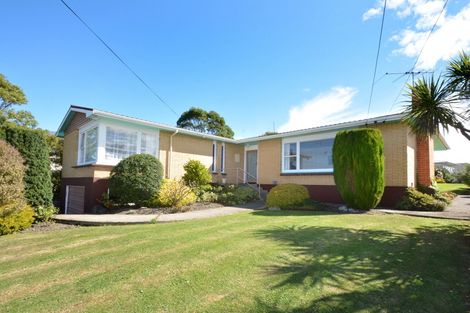 Photo of property in 65 Spencer Street, Andersons Bay, Dunedin, 9013