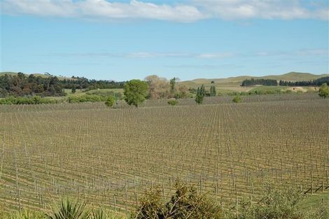 Photo of property in 299 Reserve Road, Seddon, 7285