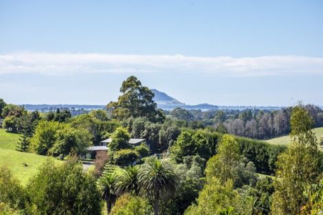 Photo of property in 390f Old Highway, Whakamarama, Tauranga, 3180