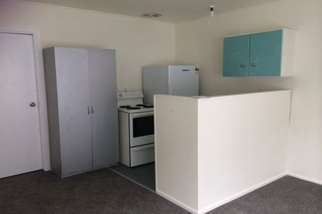 Photo of property in 43 Honiana Te Puni Street, Aro Valley, Wellington, 6021
