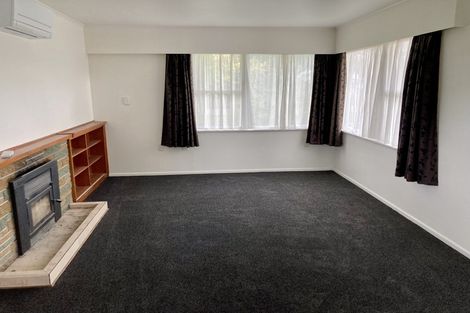 Photo of property in 112 Fitzroy Avenue, Fitzroy, Hamilton, 3206