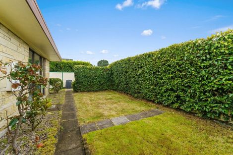 Photo of property in 96b Chapel Street, Otumoetai, Tauranga, 3110