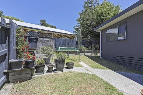 Photo of property in 23 Te Koari Drive, Brookfield, Tauranga, 3110
