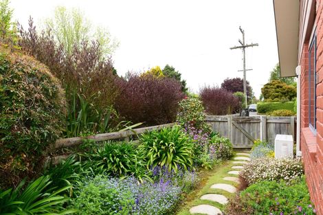 Photo of property in 8 Butchers Lane, Waimate, 7924