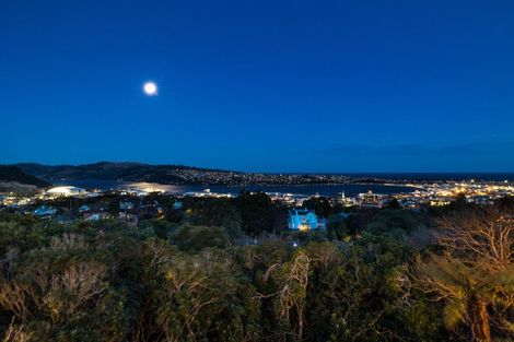 Photo of property in 32 Tweed Street, Roslyn, Dunedin, 9010