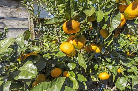 Photo of property in 3/43-53 Chivalry Road, Glenfield, Auckland, 0629