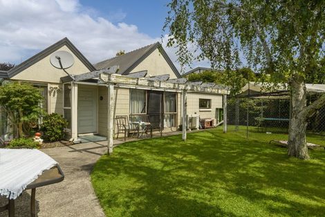 Photo of property in 14b Alexander Street, Tauranga South, Tauranga, 3112