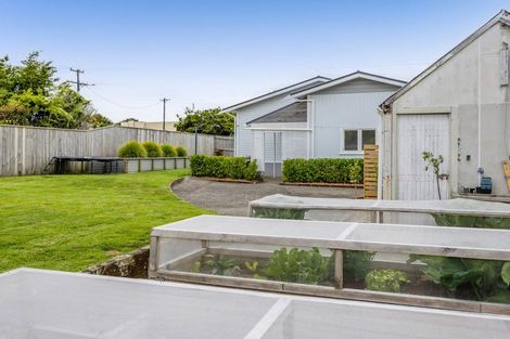 Photo of property in 141 Miranda Street, Stratford, 4332