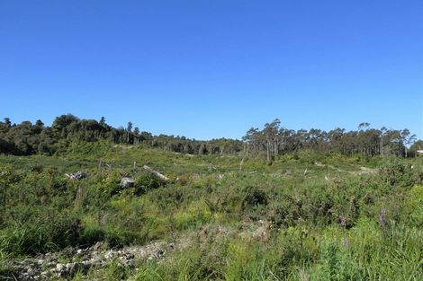 Photo of property in 756a Rutherglen Road, Marsden, Greymouth, 7872