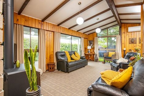 Photo of property in 178a Chapel Street, Masterton, 5810