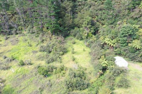 Photo of property in 340 Tutaetoko Road, Toatoa, Opotiki, 3197