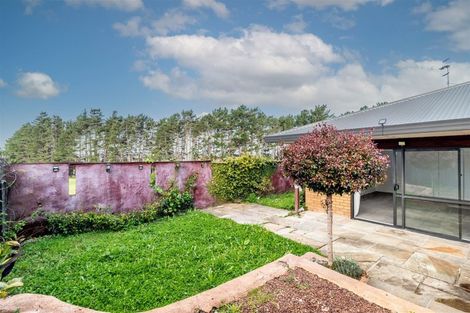 Photo of property in 3 Zeralto Lane, Mount Roskill, Auckland, 1041