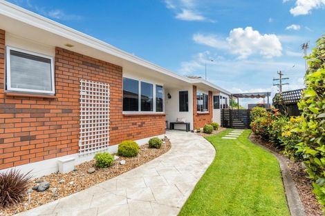 Photo of property in 6 Palm Court, Mount Maunganui, 3116