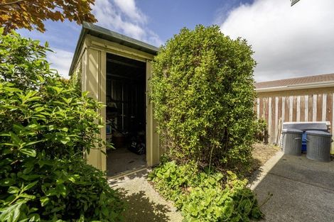 Photo of property in 3 Churchill Place, Waimate, 7924