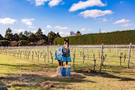 Photo of property in 300 Jowers Road, West Melton, Christchurch, 7676