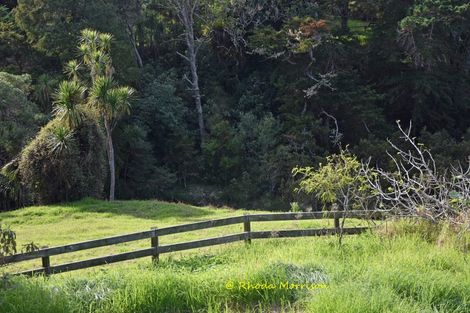 Photo of property in 8 Heaths Way, Pahi, Paparoa, 0571