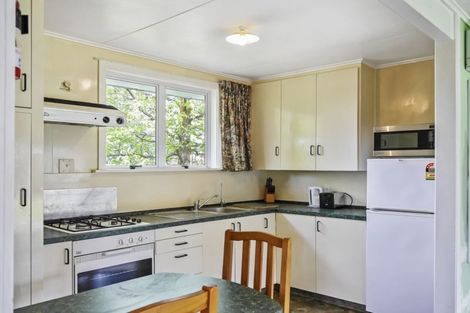 Photo of property in 46 Mount Cook Street, Twizel, 7901