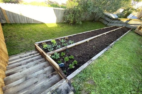 Photo of property in 3 Jomard Terrace, Northcross, Auckland, 0632