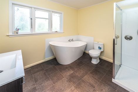 Photo of property in 219 Brunswick Road, Brunswick, Whanganui, 4571