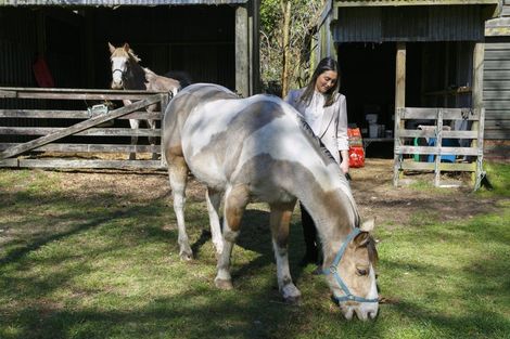 Photo of property in 620 Oruanui Road, Oruanui, Taupo, 3384