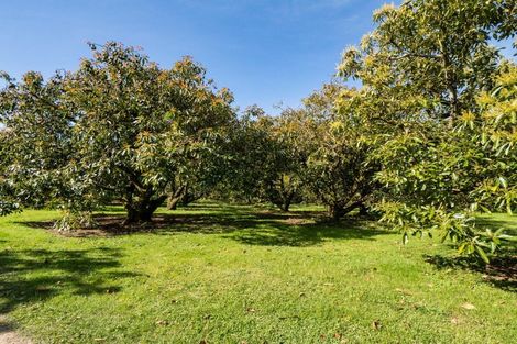 Photo of property in 85 Wharawhara Road, Tahawai, Katikati, 3178