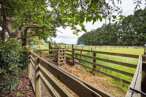 Photo of property in 273 Parewanui Road, Bulls, 4894