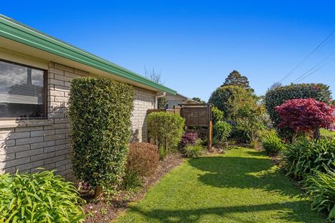 Photo of property in 45a Brabant Street, Opotiki, 3122