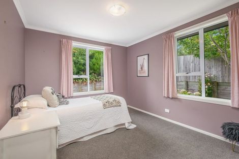 Photo of property in 56 Every Street, Andersons Bay, Dunedin, 9013