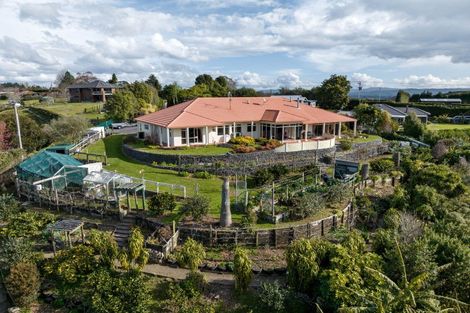Photo of property in 393 Upper Ohauiti Road, Ohauiti, Tauranga, 3173