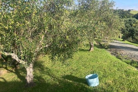 Photo of property in 101 Pukenui Road, Ngunguru, Whangarei, 0173