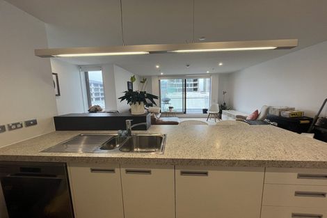 Photo of property in Republic Apartments, 3c/11 Tennyson Street, Te Aro, Wellington, 6011