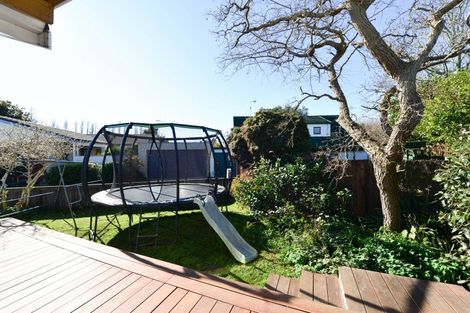 Photo of property in 8b Chelsea Place, Chartwell, Hamilton, 3210