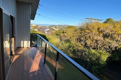 Photo of property in 39 Sunbury Street, Andersons Bay, Dunedin, 9013