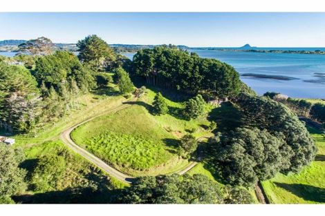 Photo of property in 107 Ohiwa Loop Road, Waiotahe, Opotiki, 3198