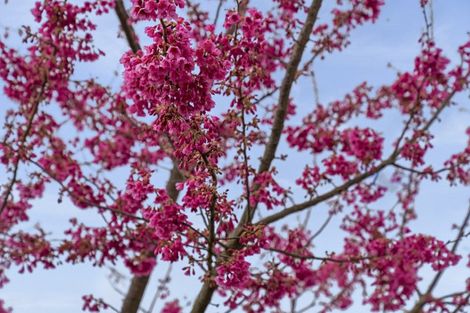 Photo of property in 128b Main Road, Katikati, 3129