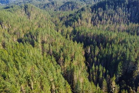 Photo of property in 3811 Waitotara Valley Road, Ngamatapouri, Whanganui, 4588