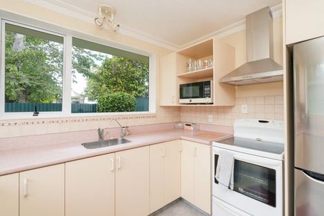 Photo of property in 242 Ness Street, Appleby, Invercargill, 9812