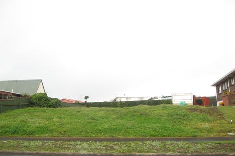 Photo of property in 11 Park Lane, Waitara, 4320
